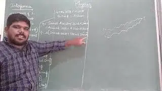 GRADE 12 | PHYSICS | INTERFERENCE | 28 01 2022 | 8 45 AM