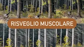 Risveglio muscolare