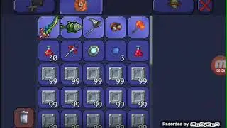 1980 железных ящеков в Terraria !!!