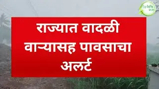 IMD rain alert राज्यात पुन्हा विजांच्या कडकडाटासह वादळी वाऱ्यासह जोरदार पाऊस big breaking news