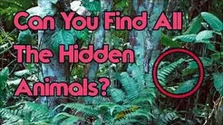 CAN YOU FIND THE HIDDEN OBJECT (98% FAIL) TRY IT 2017 - 2018