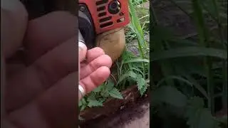 STARTING A TRIMMER WITHOUT A STARTER: A 14-BOLT HEAD AND A DRILL