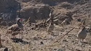 5 октября 2024 г.