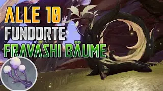 Alle Fundorte der Fravashi Bäume und der Udumbara Pistil - Genshin Impact German