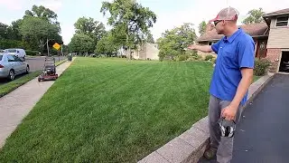 What Have I Put Down On The Project Lawn -  Update From July / Enjoy The Mow