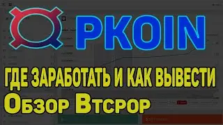 PKOIN - где заработать и как вывести ? Обзор биржи Btcpop