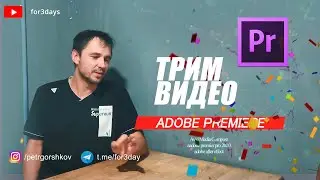 64. Трим видео ADOBE PREMIERE PRO CC 2020