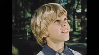 Ricky Raccoon Shows The Way (1978)