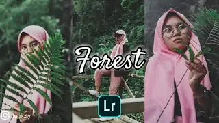 Forest || how to edit using lightroom mobile || free download #lightroompresets #lightroompresets