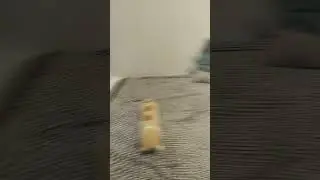 Ну-ка, шо там происходит? 