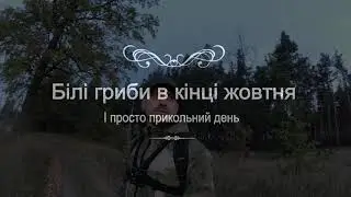 Білі гриби в кінці жовтня 2020