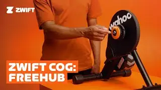 Zwift Cog With Multi-Trainer Freehub Set Up