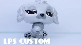 LPS: Labrador Custom