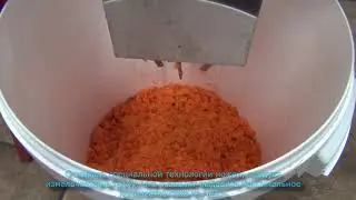 Измельчитель фруктов и овощей