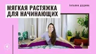 Растяжка для начинающих. Развитие гибкости ног.