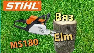 Штиль MS180 пилит жёсткий вяз / Stihl MS180 cutting hard elm /бензопила/chainsaw