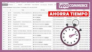 Edit Products in Bulk in WooCommerce in Excel format | WP Sheets Editor | Diego Nieto