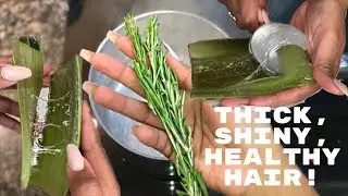 DIY Rosemary + Aloe Vera Juice HAIR RINSE + LEAVE-IN CONDITIONER | Nia Hope