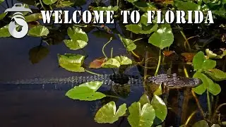 Bine ati venit in Florida (Welcome to Florida)