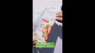 Надежный способ спасти капусту от гусениц - Герольд