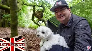 Relaxing Hammock Camp With My Cute Maltese Puppy - Xiwang is Back out Camping