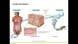 Cancer Genetics and Genomics, Part 1