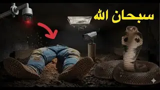 کارشناسان یک دوربین داخل این قبرگذاشتند چیزی را که پیدا کردند باور نخواهید کرد این یک معجزه بزرگ است