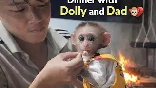 Monkey Snuggles with Dad by the Fire – A Heartwarming Dinner Moment