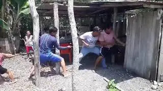Cand vrei sa tai porcul de craciun.