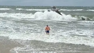 ❗🌊СИЛЬНЕЙШИЙ ШТОРМ НА БАЛТИКЕ😲❗ЗЕЛЕНОГРАДСК, ПОГОДА СЕГОДНЯ 01 НОЯБРЯ 2024