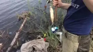 9 июня 2017 г.