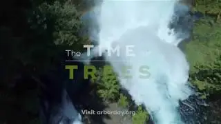Time for Trees - Community