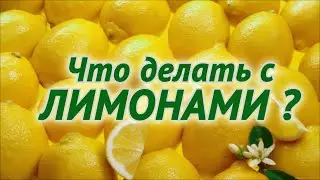 ЧТО ДЕЛАТЬ С ЛИМОНАМИ !? (БОНУС)