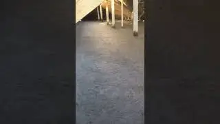 Пенобетон утепленя Крышы