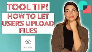 How To Collect Files From Your Users 