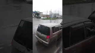 погода новосибрск