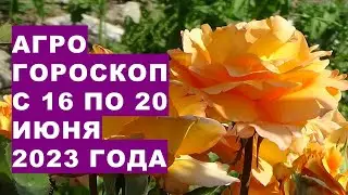Агрогороскоп с 16 по 20 июня 2023 года. Агрогороскоп з 16 по 20 червня 2023 року