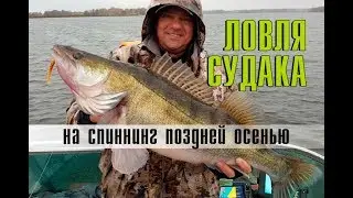 Catching trophy pike perch with a spinning rod in late autumn