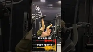 Birch is the best for abs.