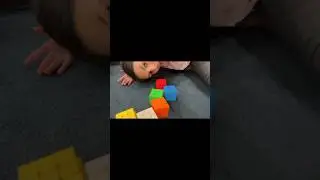 Force Cube Frenzy! With Stop Motion