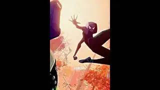 Spider-Gwen Edit