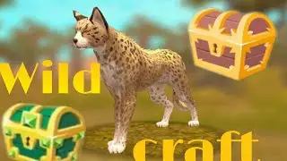 🔥сундук от вайлд клаба и эпический сундук в wild craft