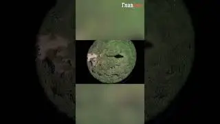 Спасибо за каждое новое утро!