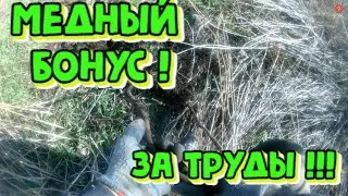 КОП! А МЕДЬ ТО БУДЕТ? БУДЕТ, ГЕНА, БУДЕТ !!! МЕТАЛЛА КОП 2023г.
