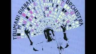 TOUMANI DIABATE'S SYMMETRIC ORCHESTRA - Tapha Niang