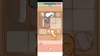 Cat Puzzle Gameplay 02