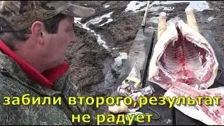Забили второго свинтуса.
