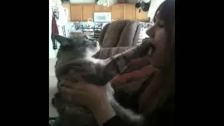 Dope cat ke$ha syntax