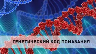 ГЕНЕТИЧЕСКИЙ КОД ПОМАЗАНИЯ. Андрей Яковишин