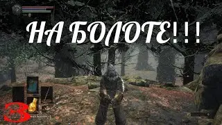 НА БОЛОТЕ!!!👀3-й стрим!